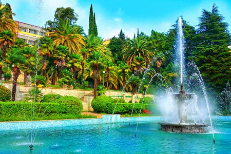 Внешний вид