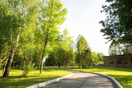 Внешний вид