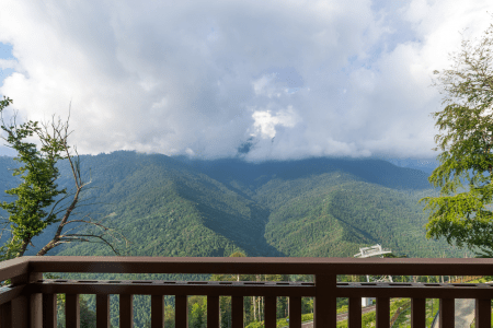 Развлечения