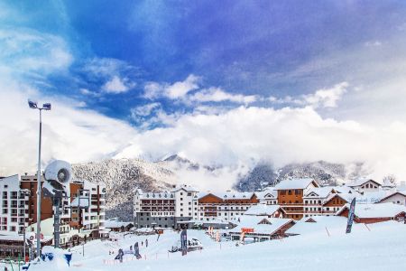 Внешний вид