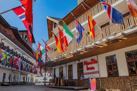 Внешний вид