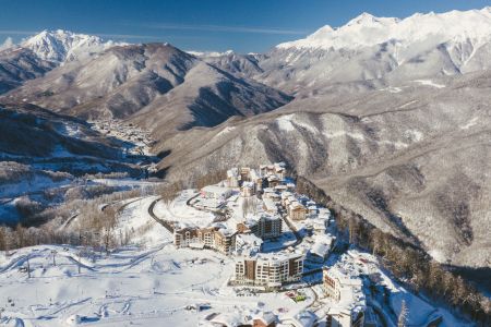 Внешний вид