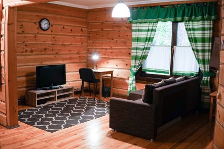 Баня с камином