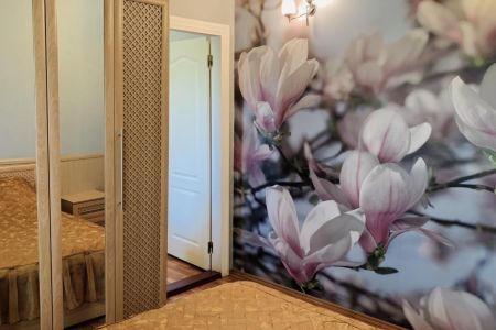 Комфорт 2-местный 2-комнатный Дебаркаде