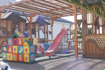 Внешний вид