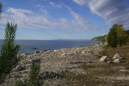 Внешний вид