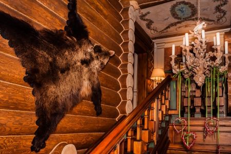 Внешний вид