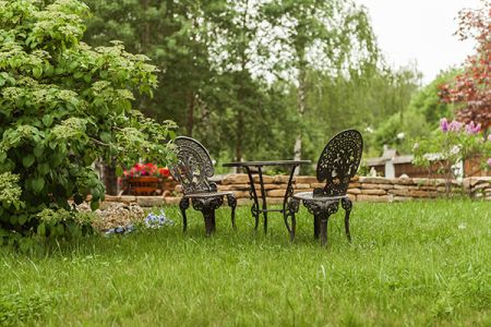 Внешний вид