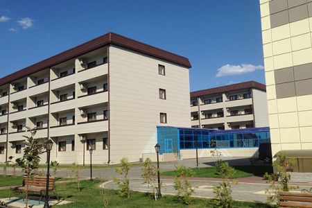 Внешний вид