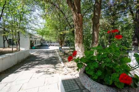 Внешний вид