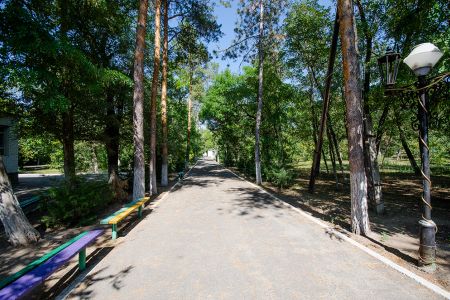 Внешний вид