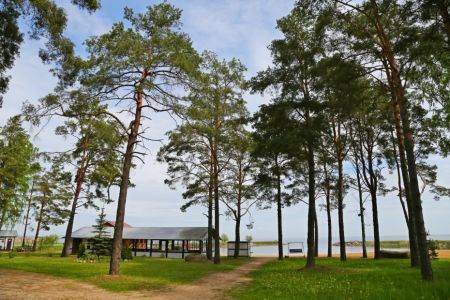 Внешний вид