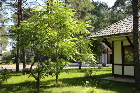 Территория