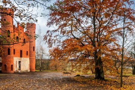 Территория