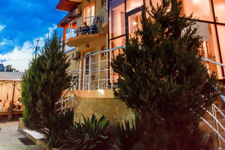 Внешний вид