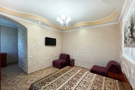 Стандартный 3-местный 1-комнатный