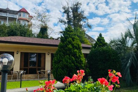 Внешний вид