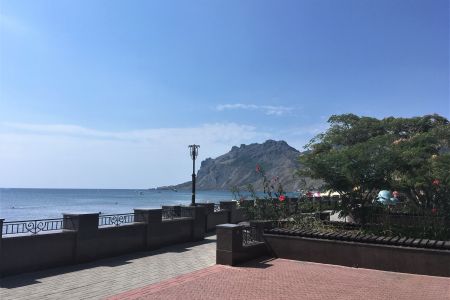 Внешний вид