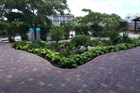 Внешний вид