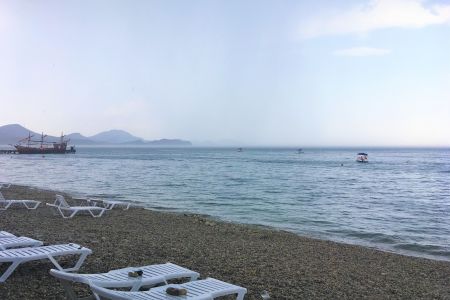 Внешний вид