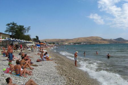 Внешний вид