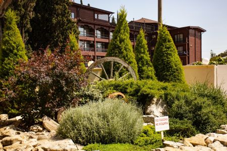 Внешний вид