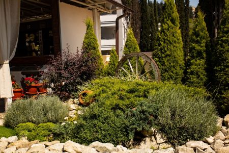 Внешний вид