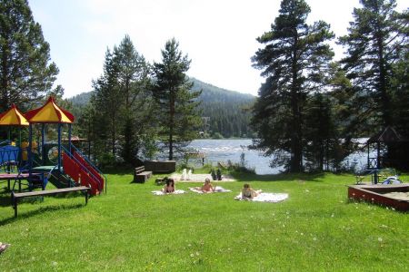 Внешний вид