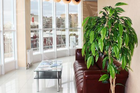 Внешний вид