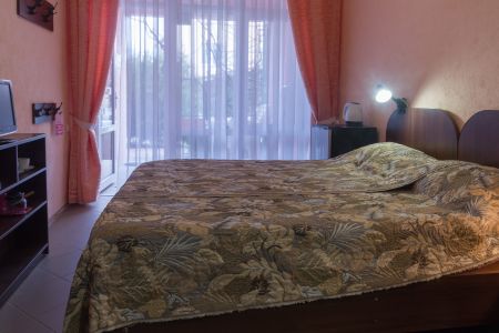 Стандарт 2-местный без доп. места корпус 1