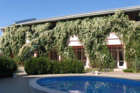 Внешний вид