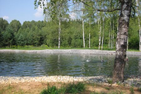 Внешний вид