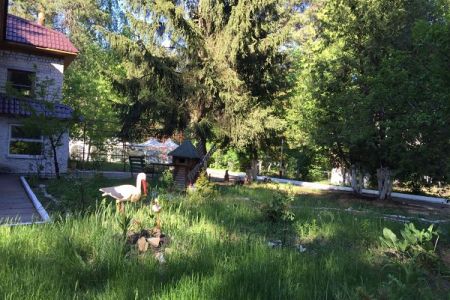 Территория