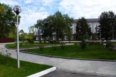 Внешний вид