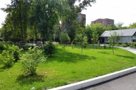 Внешний вид