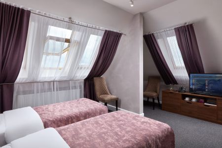 Полулюкс 2-местный