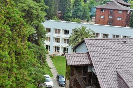 Внешний вид