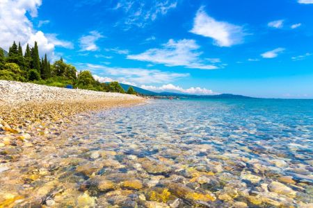 Внешний вид