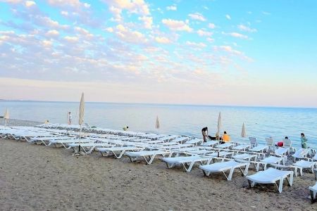 Внешний вид