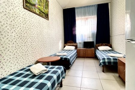 Эконом 3-местный