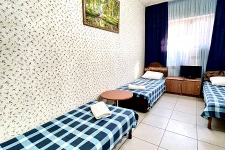 Эконом 3-местный