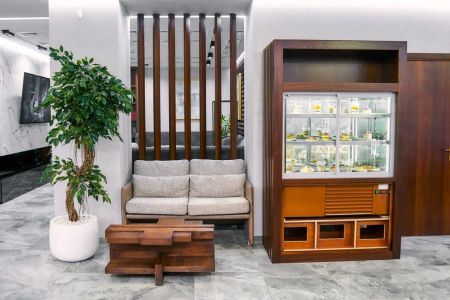 Внешний вид