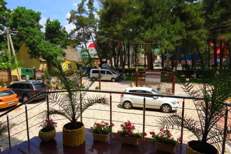 Внешний вид