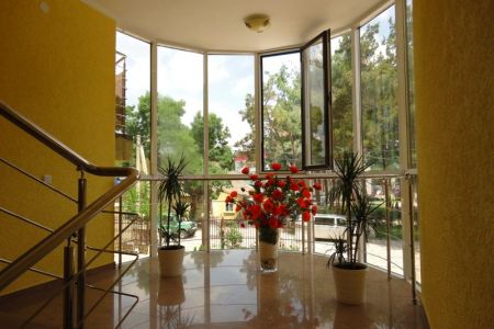 Внешний вид