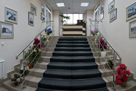 Внешний вид