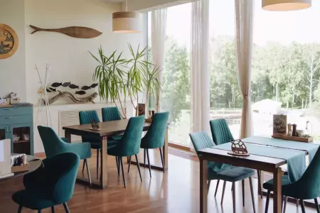 Внешний вид