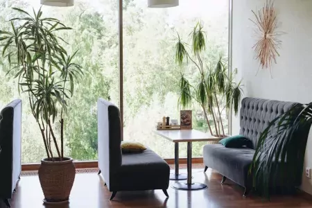 Внешний вид