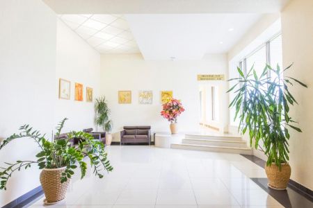 Внешний вид