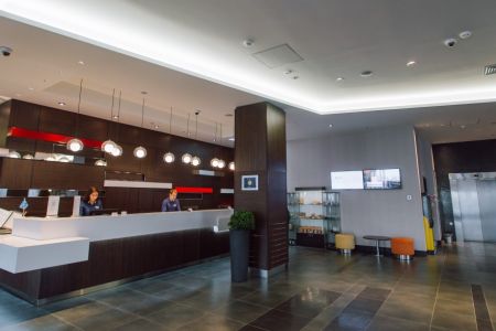 Внешний вид