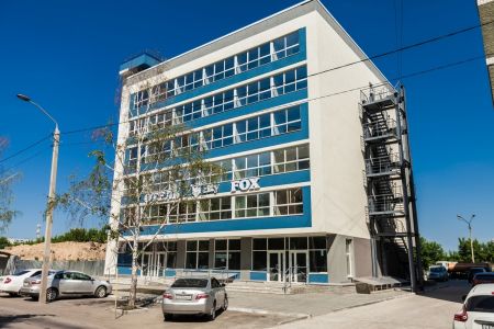 Внешний вид